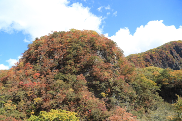 f0229832_73212100.jpg