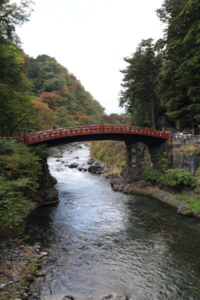 f0229832_7371135.jpg