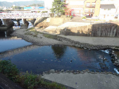 e0033751_17302718.jpg