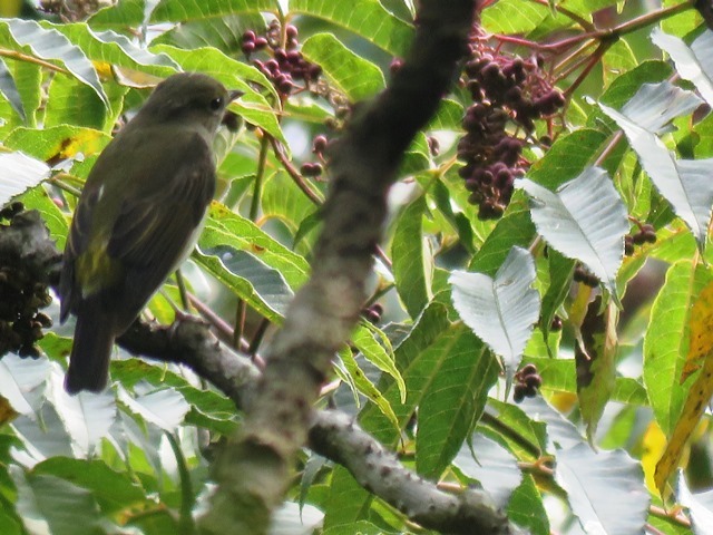 b0227552_11043087.jpg