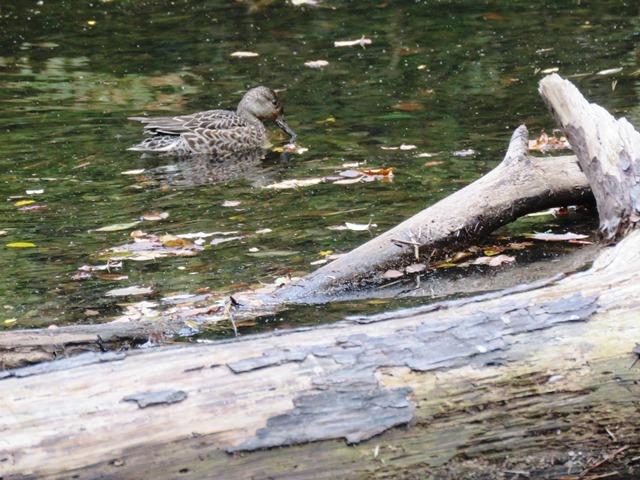 b0227552_11061857.jpg