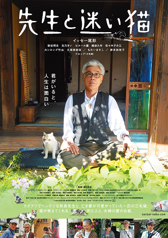 先生と迷い猫_b0063958_2262792.jpg