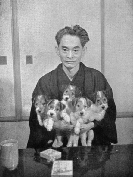 先生と迷い猫_b0063958_2282026.jpg