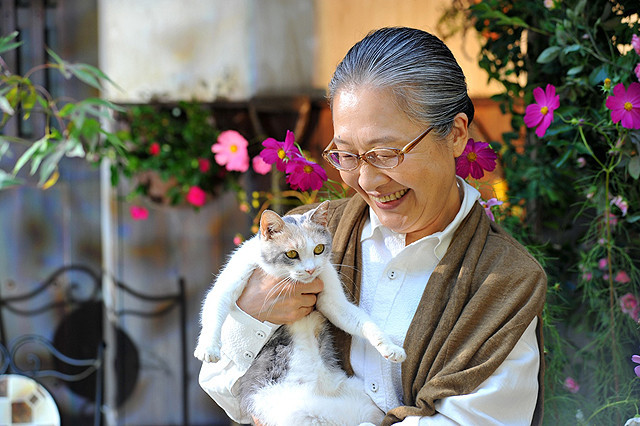先生と迷い猫_b0063958_2285354.jpg