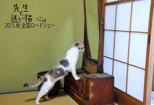 先生と迷い猫_b0063958_2291416.jpg