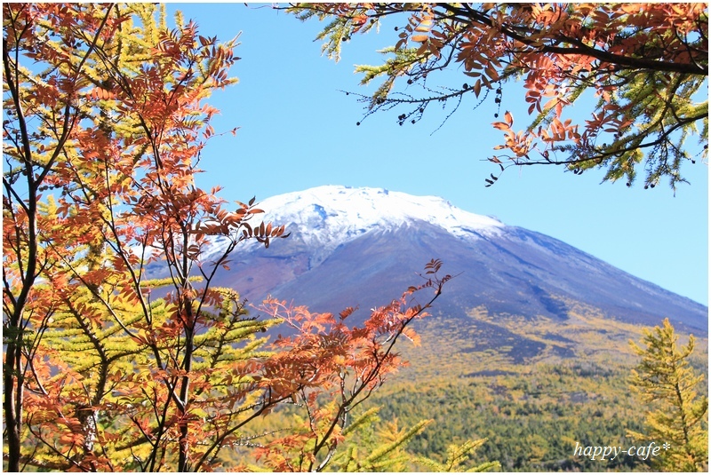 富士山の紅葉♪ - happy-cafe*vol.2