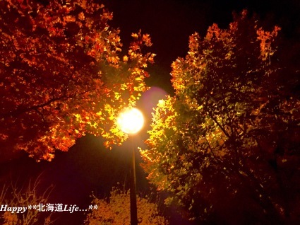 a0337860_09533975.jpeg