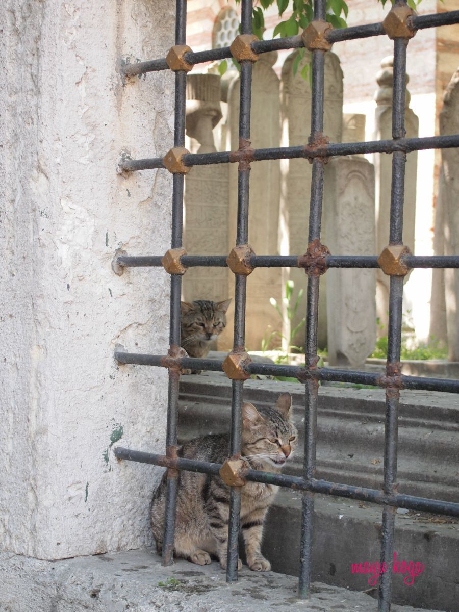 イスタンブールの金角湾をクルーズ旅。_e0255060_00515729.jpg