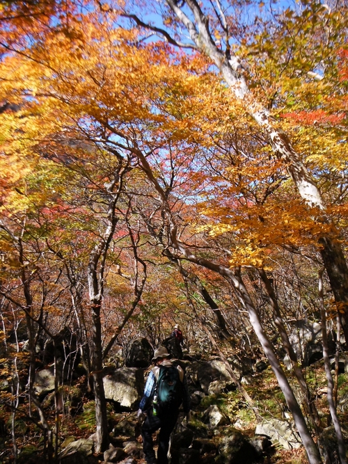 九重紅葉ドラマ(2015年10月20日）_f0082181_921577.jpg