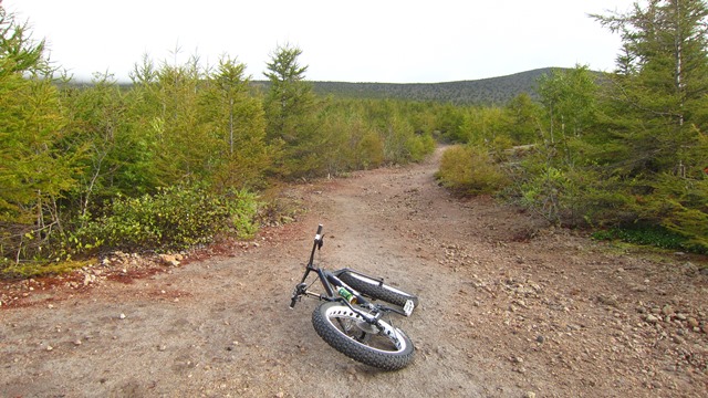 a0242984_17124245.jpg