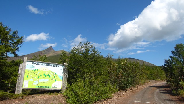 a0242984_179493.jpg