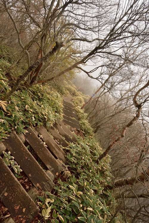 赤城山登山～黒檜山登頂、駒ヶ岳経由で下山～_e0241691_21364665.jpg