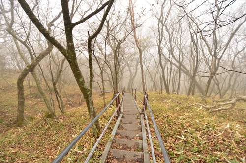 赤城山登山～黒檜山登頂、駒ヶ岳経由で下山～_e0241691_2144962.jpg