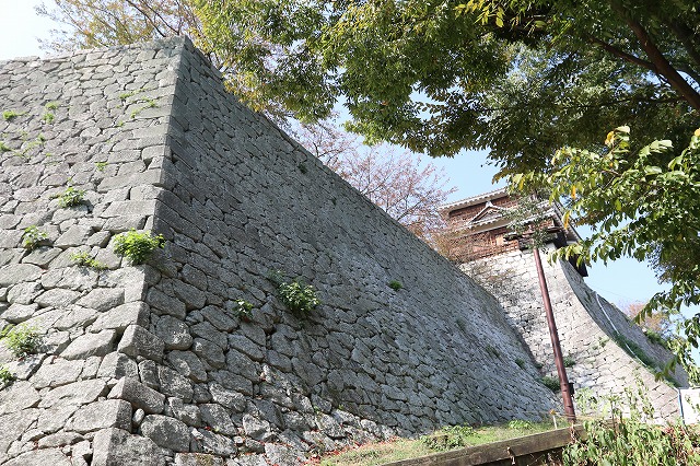 b0190092_21381539.jpg