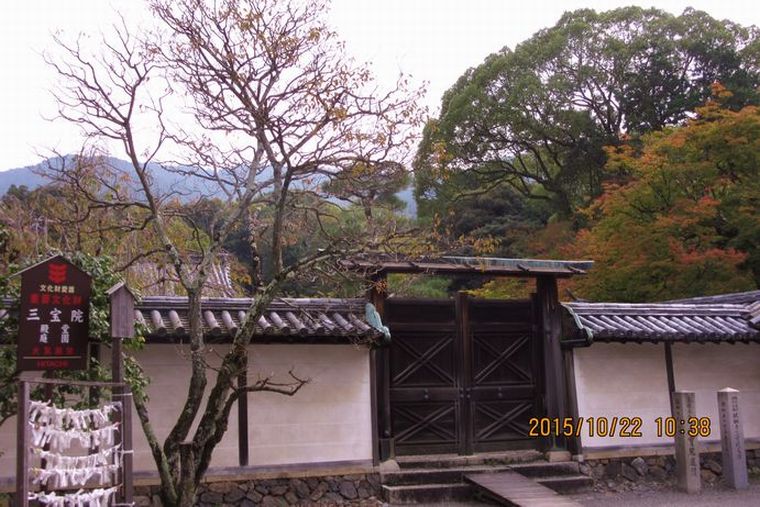 a0276402_1014272.jpg
