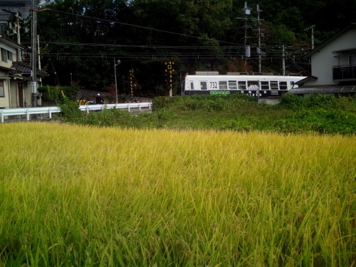 b0177208_20044115.jpg