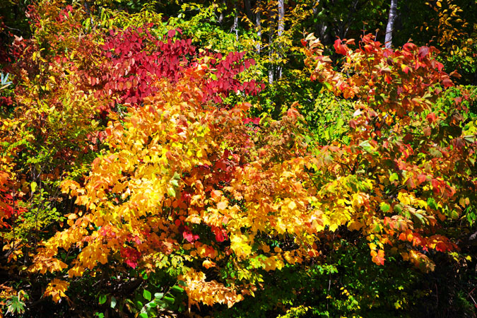 a0263109_2225010.jpg