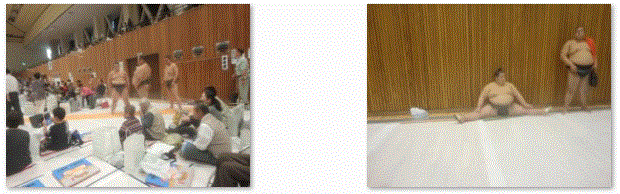 f0231709_9553011.gif