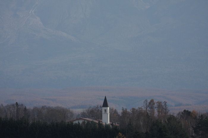 f0139911_694614.jpg