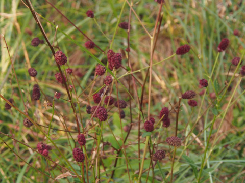 e0293913_22142339.jpg