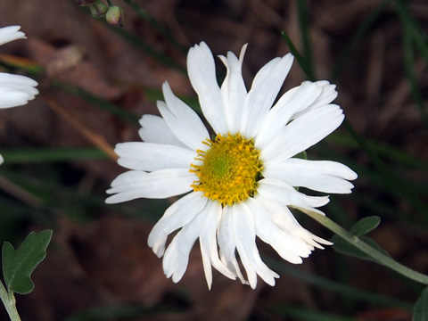 e0293913_22145454.jpg