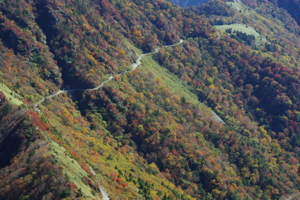 d0341514_21382627.jpg