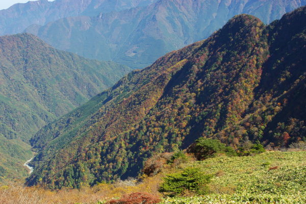 d0341514_21474609.jpg
