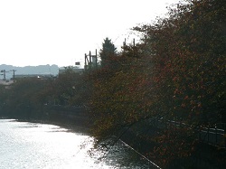 e0189014_16998.jpg
