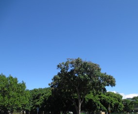 a0242019_17372432.jpg