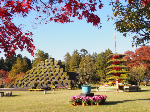 弘前城菊と紅葉まつり*2015.10.23_b0147224_19284143.jpg