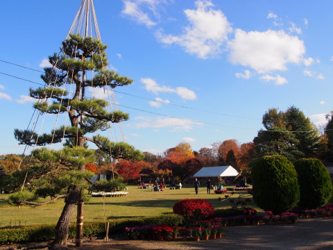 弘前城菊と紅葉まつり*2015.10.23_b0147224_1931566.jpg