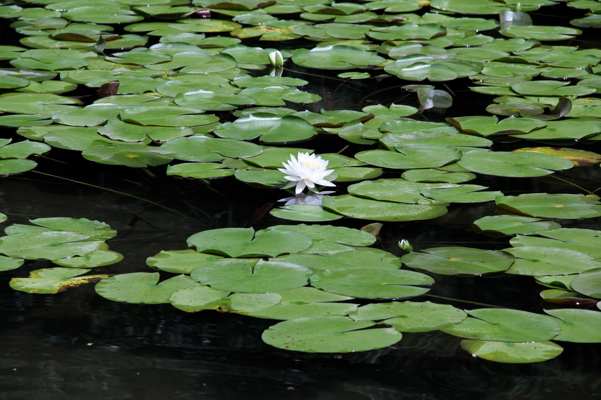f0057324_23213405.jpg