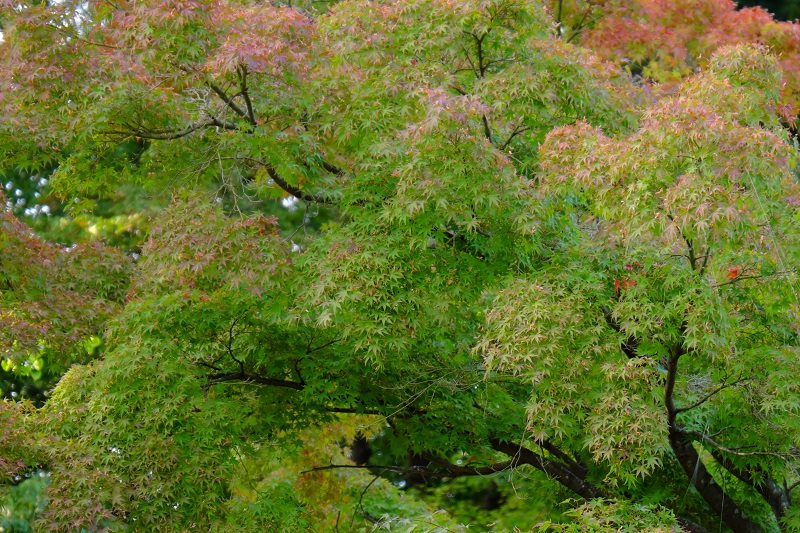 b0230131_92977.jpg