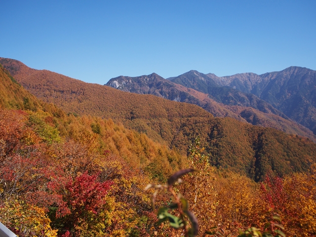 c0117831_19463430.jpg
