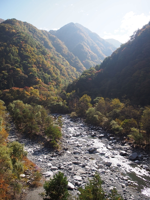 １５年１０月２４日　南アルプスの紅葉♪_c0117831_1951756.jpg