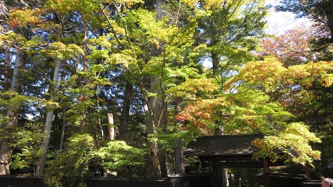e0202031_22381544.jpg