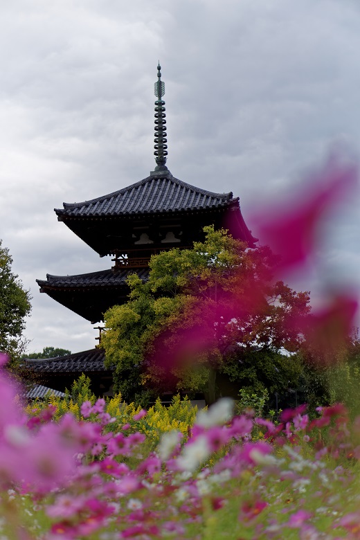 法起寺_f0274536_20455439.jpg