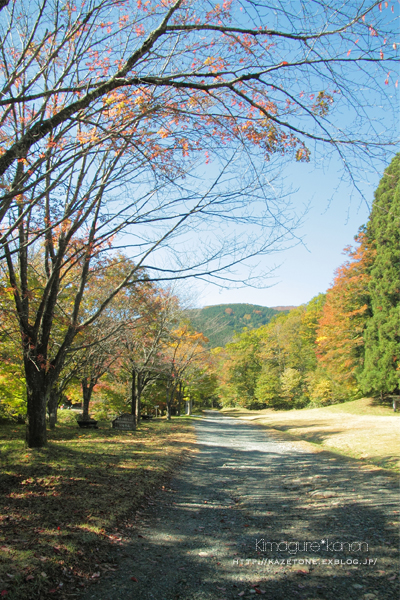 紅葉便り \'15①**県民の森スキー場経由、比婆山へ_b0197639_21115047.jpg