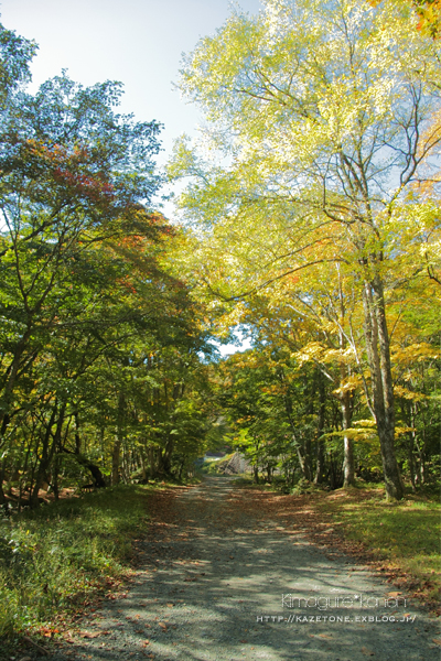 紅葉便り \'15①**県民の森スキー場経由、比婆山へ_b0197639_21194053.jpg