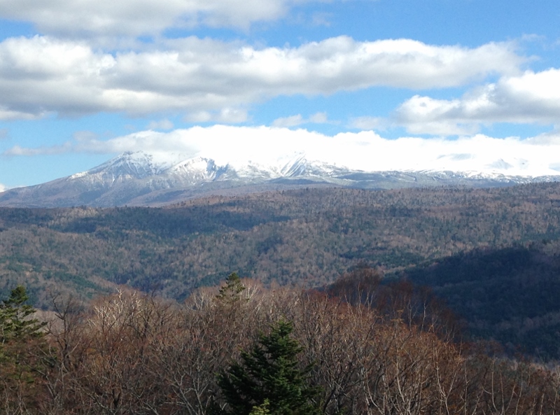 中鶴根山 制覇!!どこの山でしょ?_e0326953_1150715.jpg