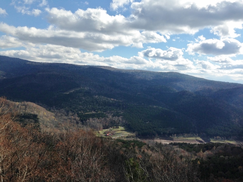 中鶴根山 制覇!!どこの山でしょ?_e0326953_11543260.jpg