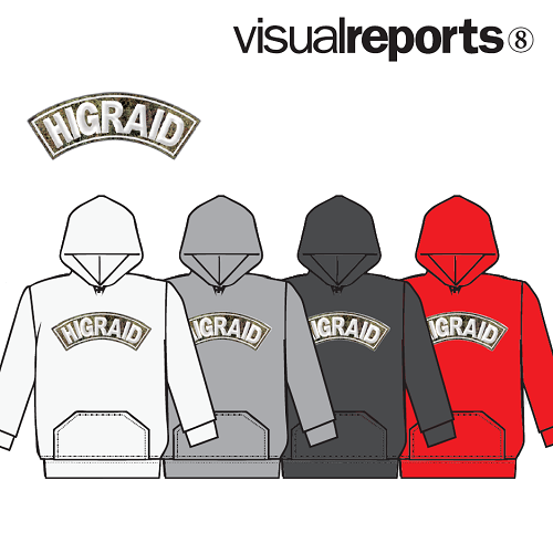 visual reports 先行予約 START_d0175064_8134375.png