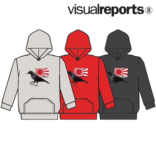 visual reports 先行予約 START_d0175064_8135819.png