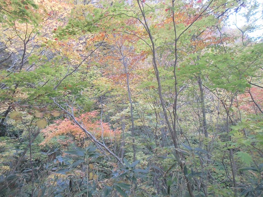 c0273271_10243730.jpg