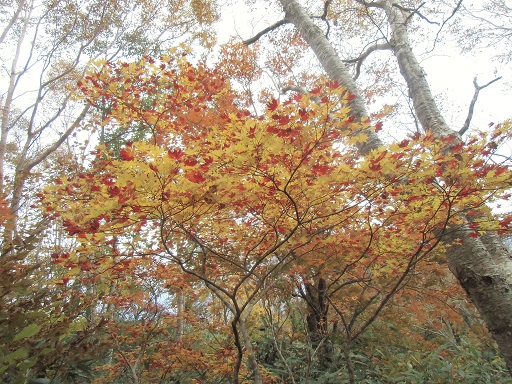 c0273271_10263164.jpg