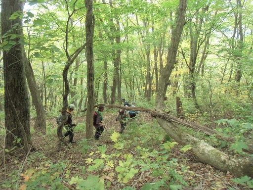 c0273271_10272826.jpg
