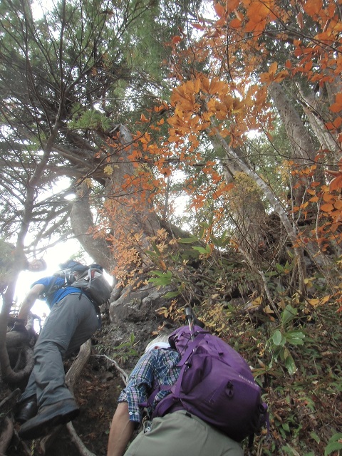 c0273271_11324358.jpg