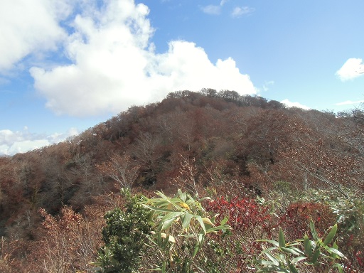 c0273271_11515261.jpg