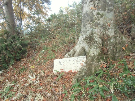 c0273271_11522220.jpg
