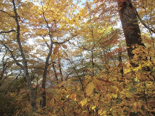 c0273271_1203145.jpg
